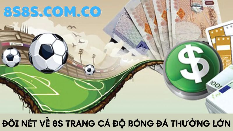 8s Trang cá độ bóng đá