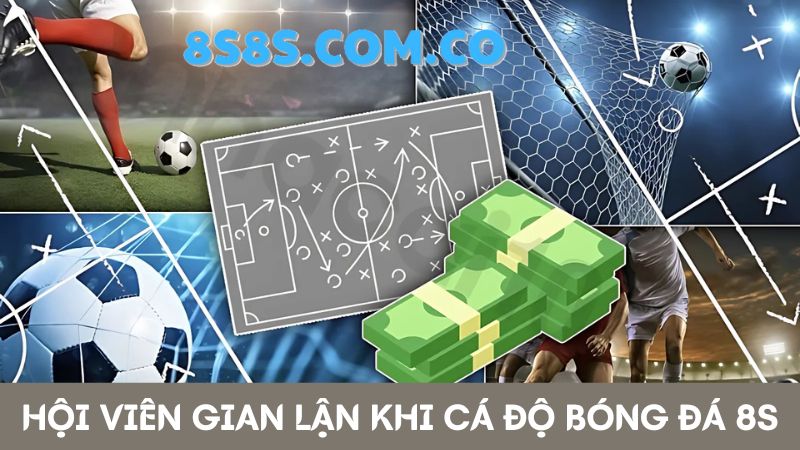 8s Trang cá độ bóng đá uy tín