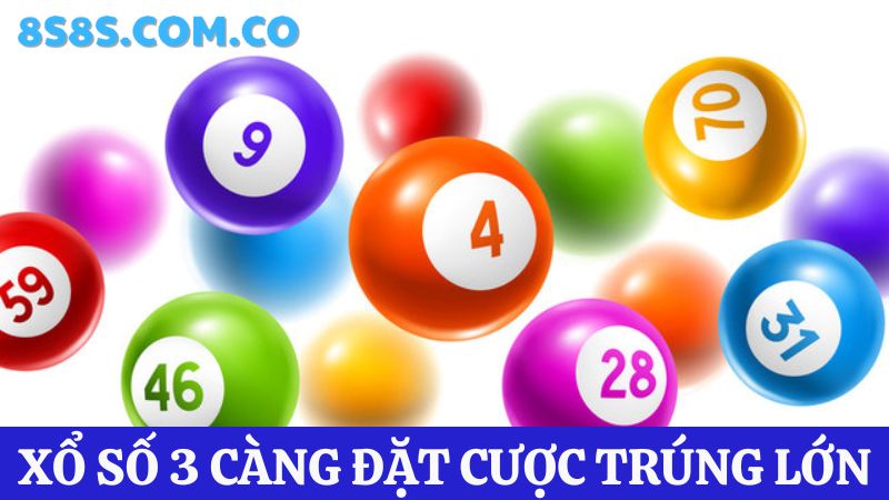 8S xổ số online Cá cược 3 càng