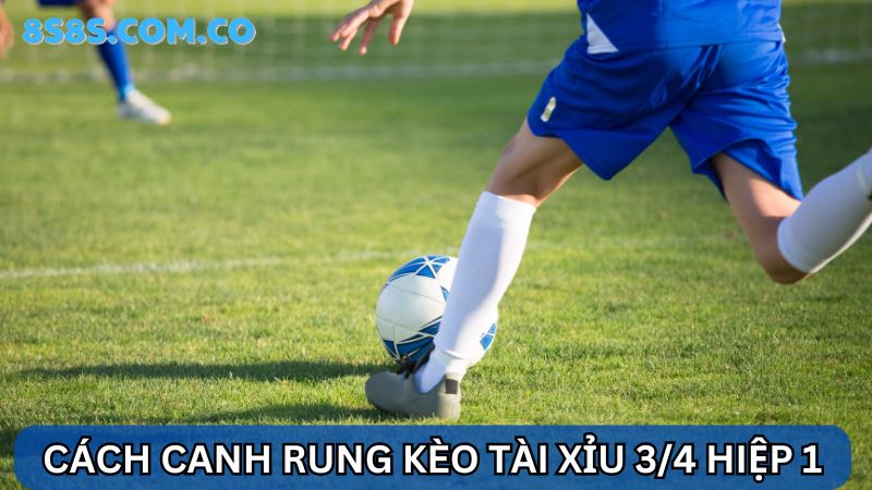 8s Cá độ bóng đá kèo Tài Xỉu