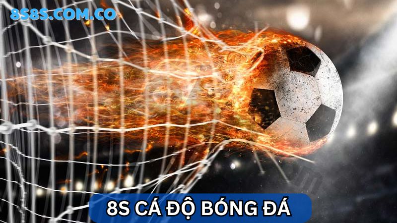 8s Cá độ bóng đá