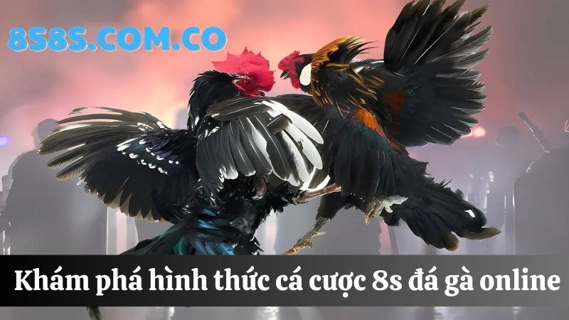 8s Đá gà online