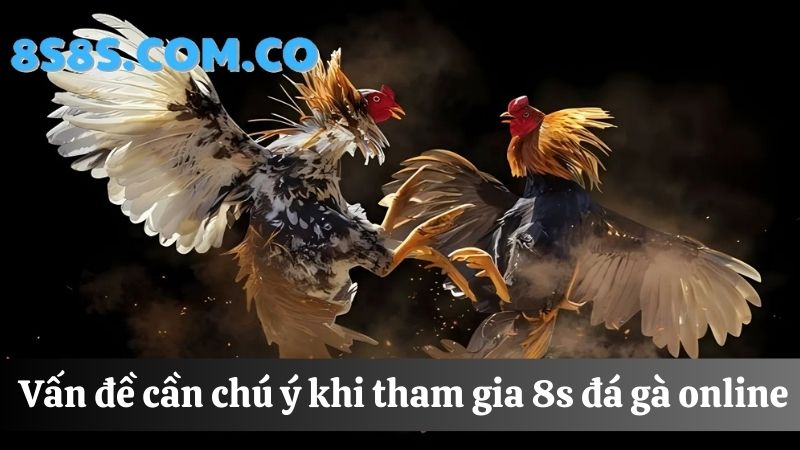 những vấn đề cần chú ý khi 8s Đá gà online